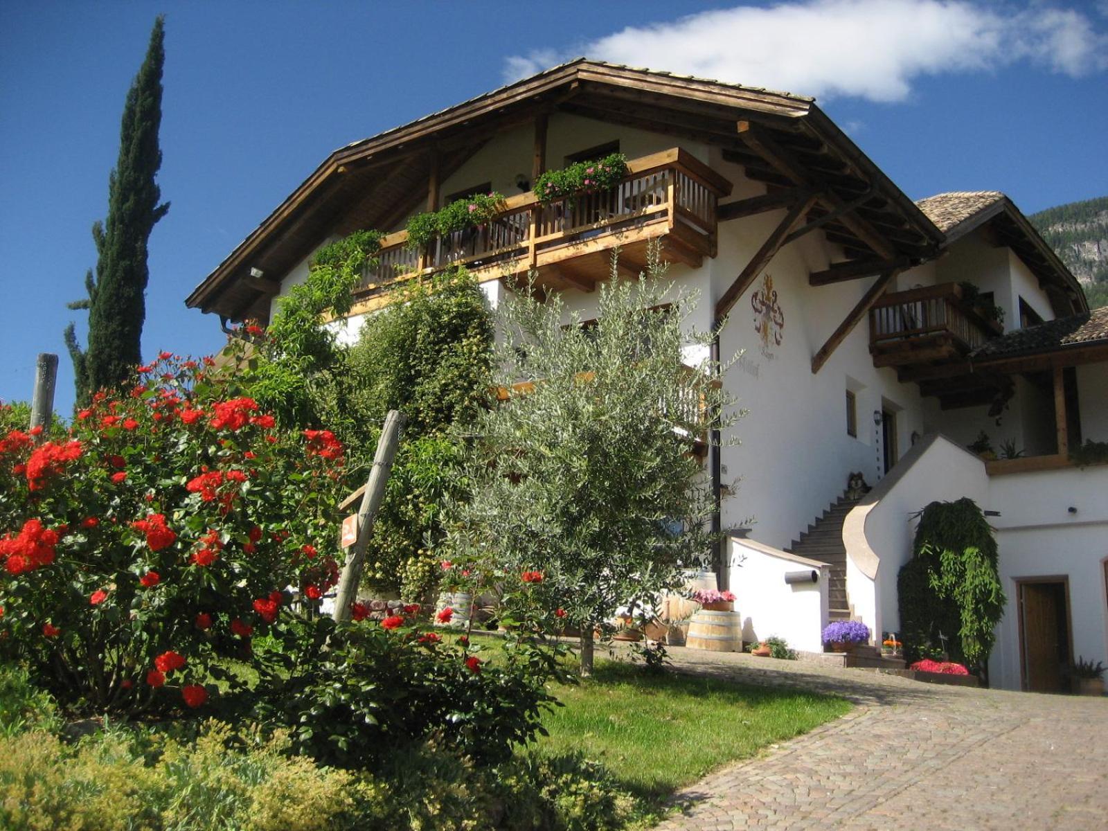 Gfillhof Ferienwohnung 3 Апп'яно-сулла-Страда-дель-Віно Екстер'єр фото